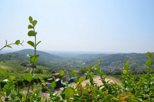 Vinresa-italien-barolo.jpg