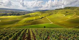 Fransk vinprovning | Örebro