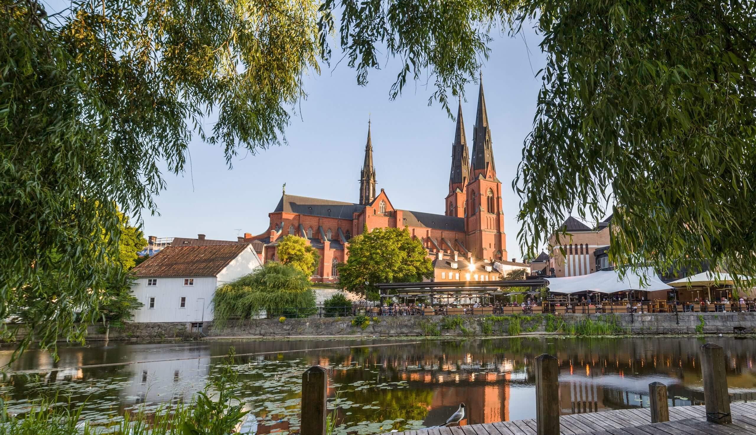 Klassisk statsvandring | Uppsala